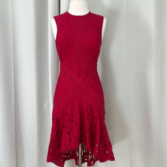 Lover the Label 2 Guipure Crimson Lace Dress - Picture 1 of 7